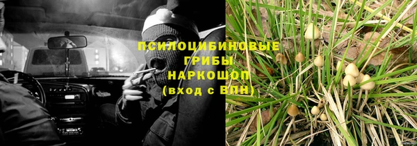 PSILOCYBIN Елизово