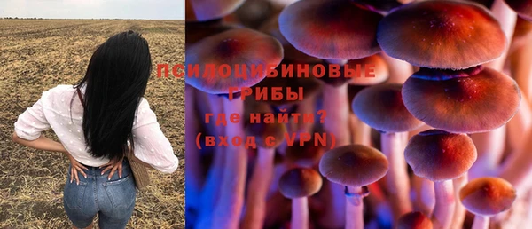 бутират Алексин