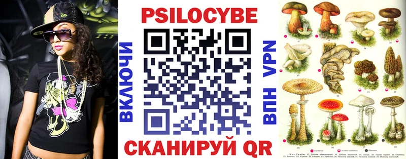 Псилоцибиновые грибы Psilocybe  Дыгулыбгей 
